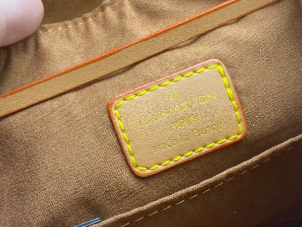 Louis Vuitton bag - 图片 6