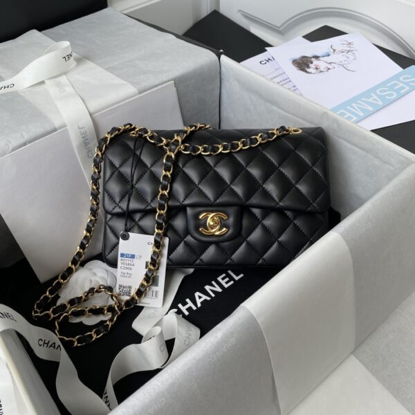 Chanel Clssaic Flap bag