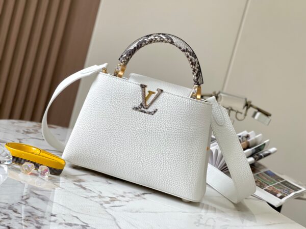 Louis Vuitton bag