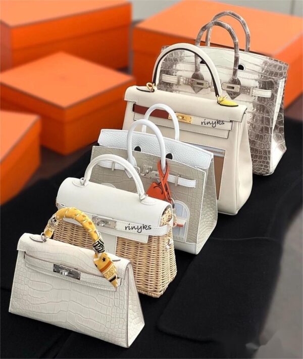 hermes  bag's - 图片 6