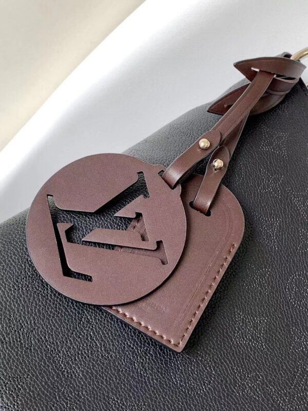 Louis Vuitton bag - 图片 5