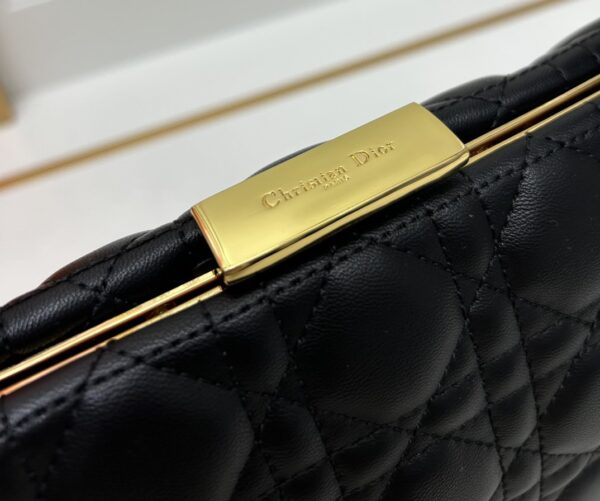 Dior bag - 图片 4