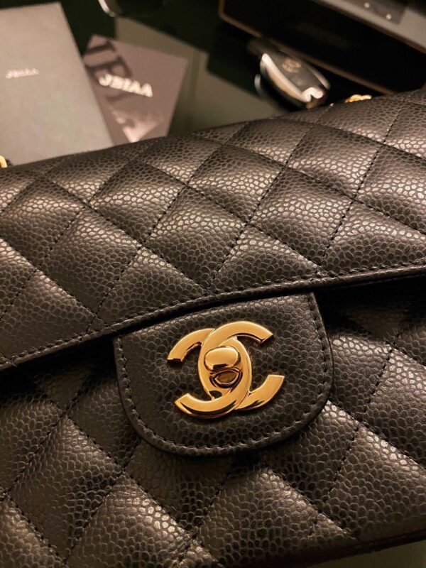 💼Chanel   bag's 💼 - 图片 3