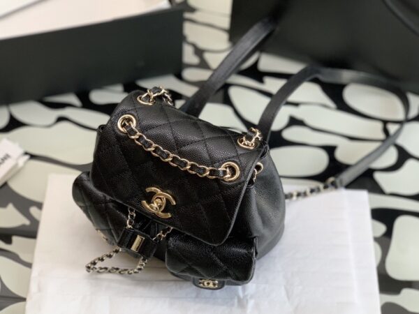 💼Chanel   bag's 💼 - 图片 9