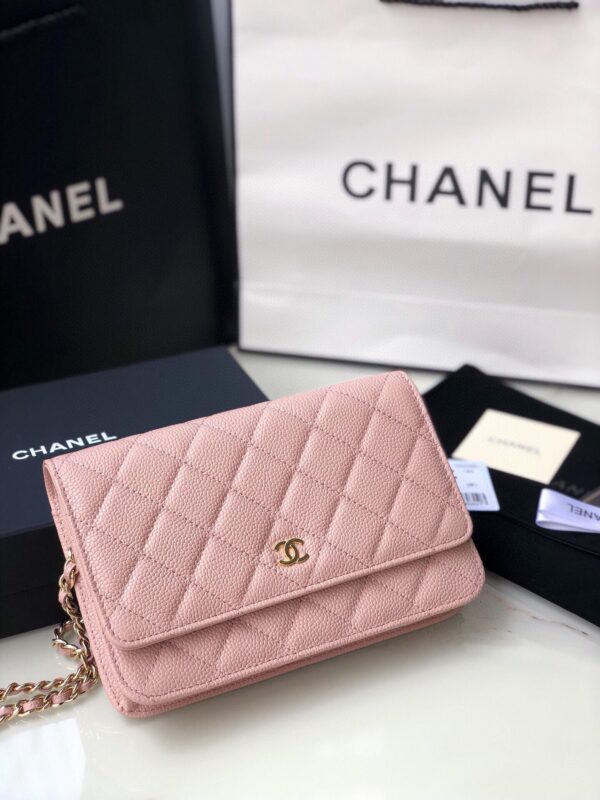 Chanel   bag's - 图片 5