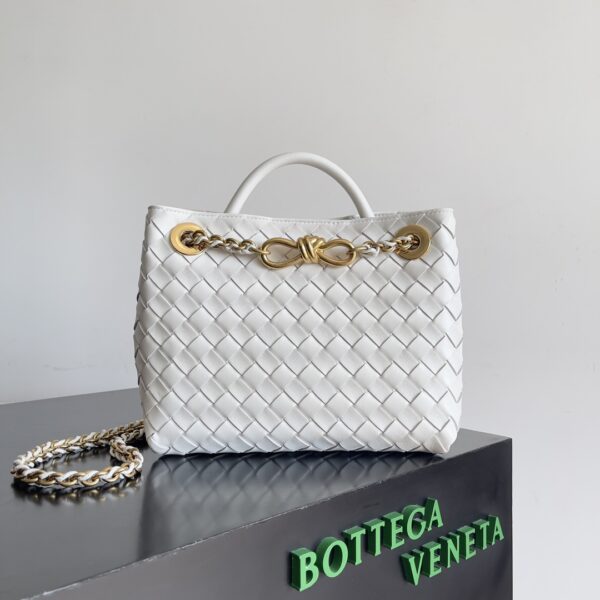 Bottega Veneta bag
