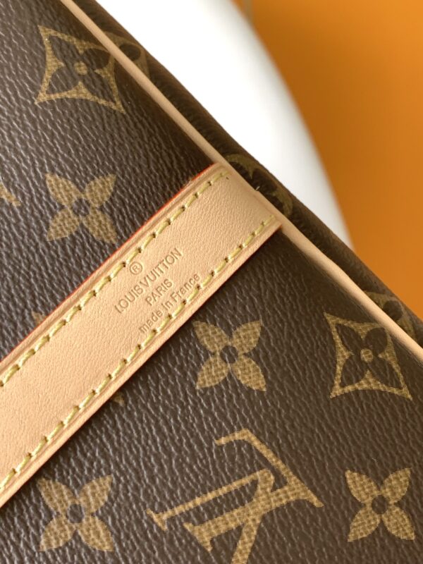 Louis Vuitton bag - 图片 6