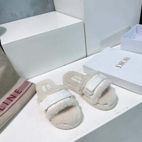 dior  shoes - 图片 17