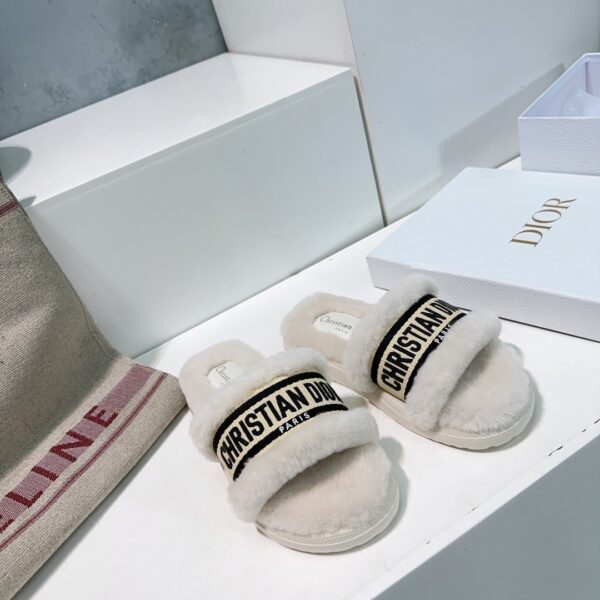 dior  shoes - 图片 16