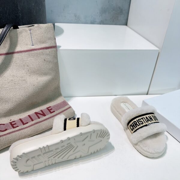 dior  shoes - 图片 15