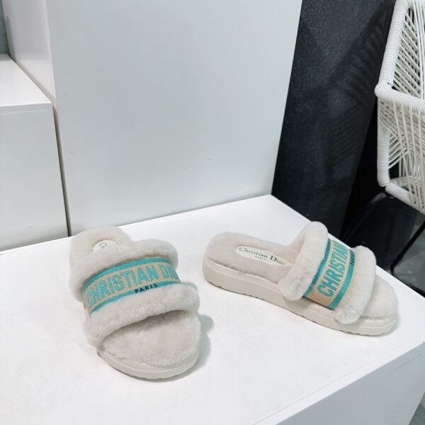 dior  shoes - 图片 14