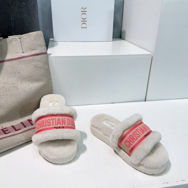 dior  shoes - 图片 10