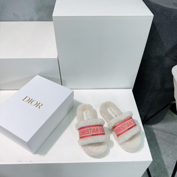 dior  shoes - 图片 6