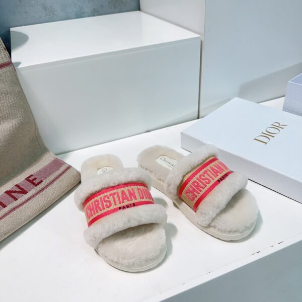 dior  shoes - 图片 4
