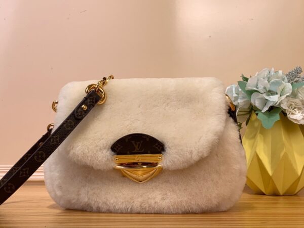 Louis Vuitton bag