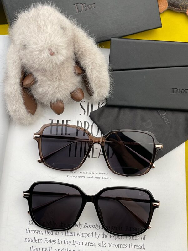 unglasses and Glasses Dior