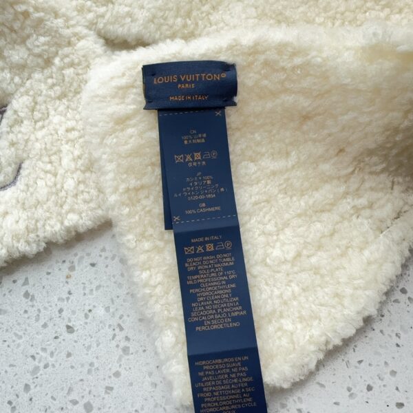Louis Vuitton Scarf - 图片 4