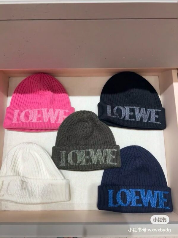 🎀Hat Accessories🎀 LOEWE - 图片 5
