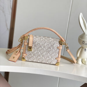 Louis Vuitton  bag