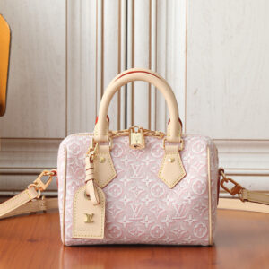 Louis Vuitton  bag